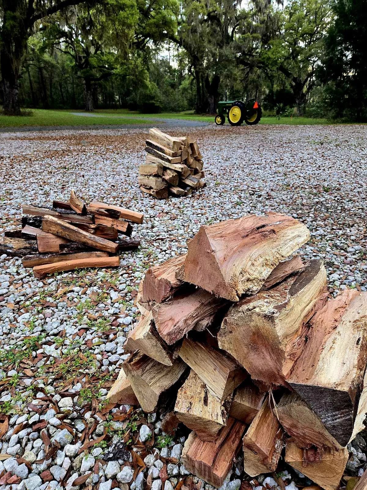 Stacks of freshly split cooking wood on a gravel drive, the pale cut faces still bright, with a green tractor and moss hung oaks in the background.